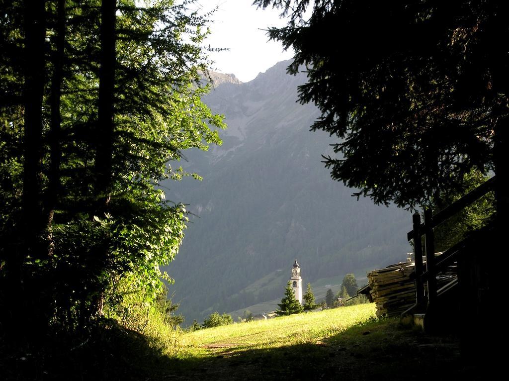 Residence Lo Peyo Champoluc Buitenkant foto
