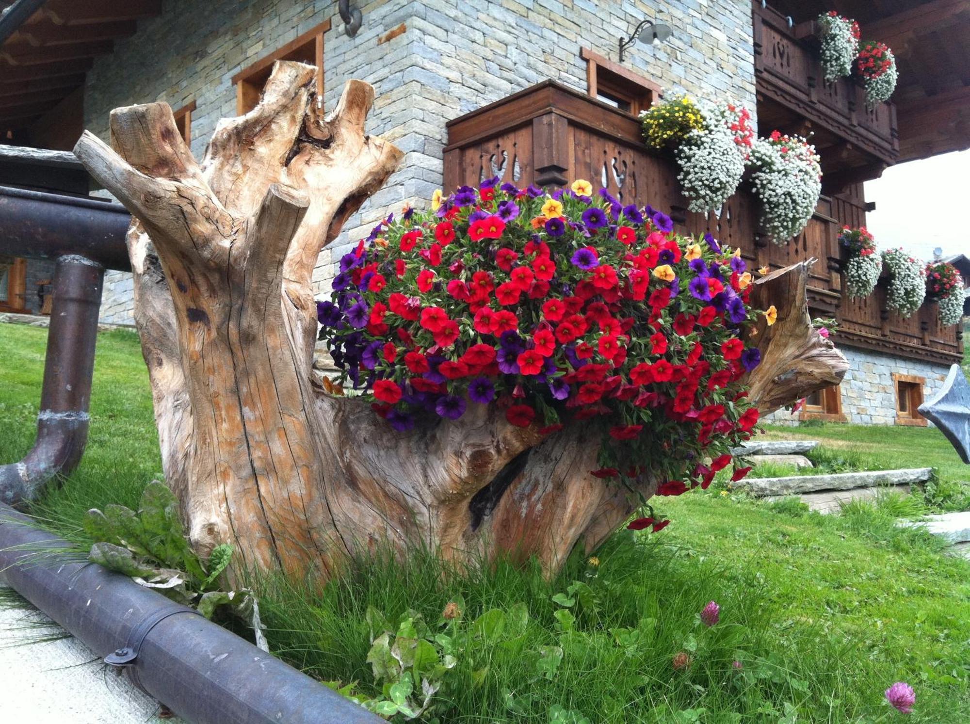 Residence Lo Peyo Champoluc Buitenkant foto