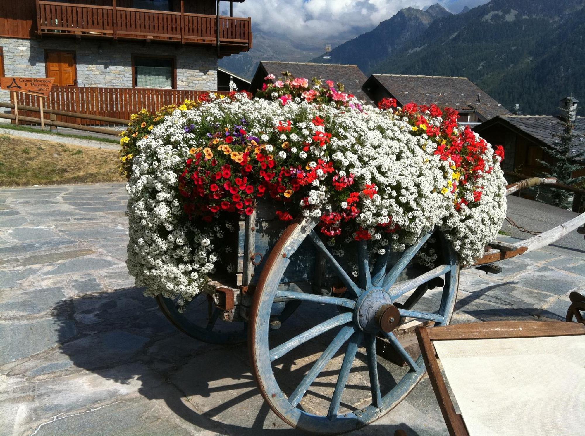 Residence Lo Peyo Champoluc Buitenkant foto